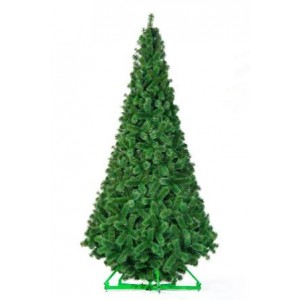 Сосна интерьерная Рублевская